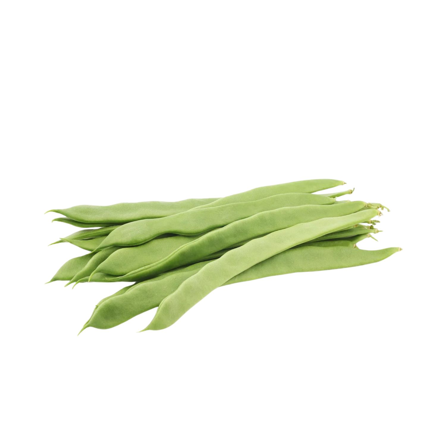 Flat Beans KG